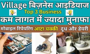 Village Business Ideas